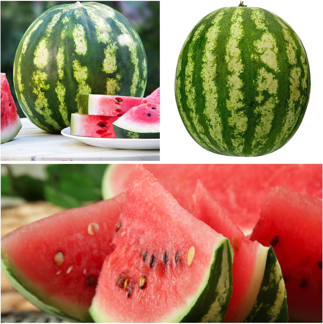 🍉Ruby Watermelon Pot Seeds🌱✨