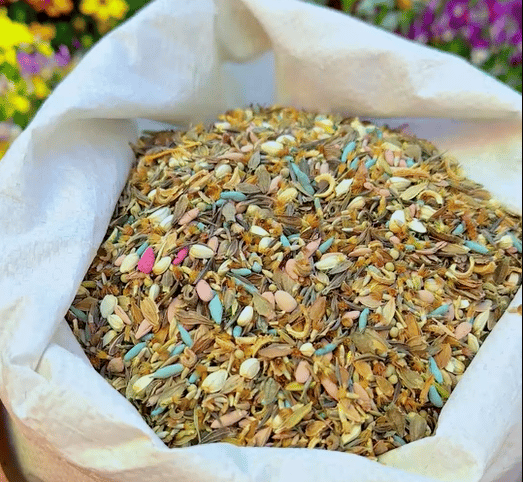 Mixed Perennial Flowers Seeds-Over 60 kinds mixed🔥