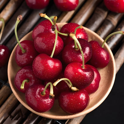 🍒Black Cherry Plant Kit – American & Chilean Varieties for Home Garden