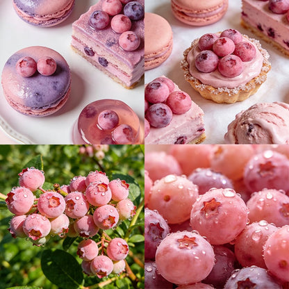 💟Premium Pink Blueberry Seeds -😋A Uniquely Delightful Taste🔥