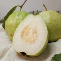 White-hearted guava